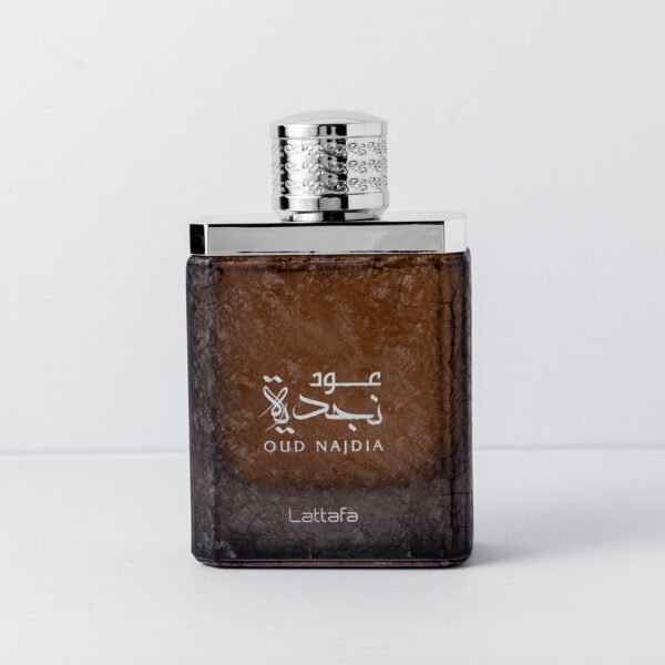 OUD NAJDIA